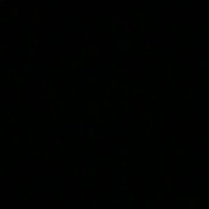 Meet your Posher, Kai